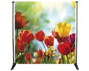 EXTENSIBLE-XL 200X200CM STM-FL...
