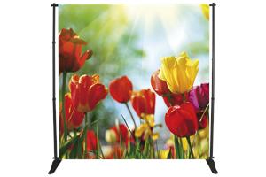 EXTENSIBLE-XL 250x250cm STM-FLEX/XL ST.INCLUSA...